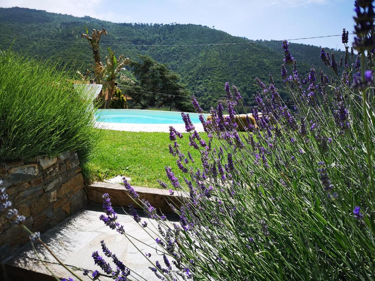 Agriturismo Ca Due Nonu Vallebona Eksteriør bilde